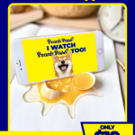 Broken Egg Phone Holder