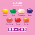 Brach's Classic Jelly Beans, Springtime Easter Candy - Image 2